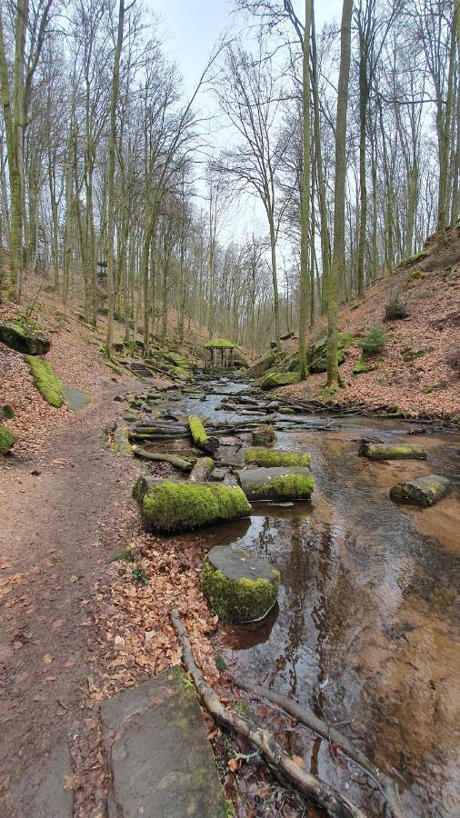 Hotel Pension Ernst Im Herzen Des Pfaelzerwaldes Mit Kueche Elmstein Exteriér fotografie