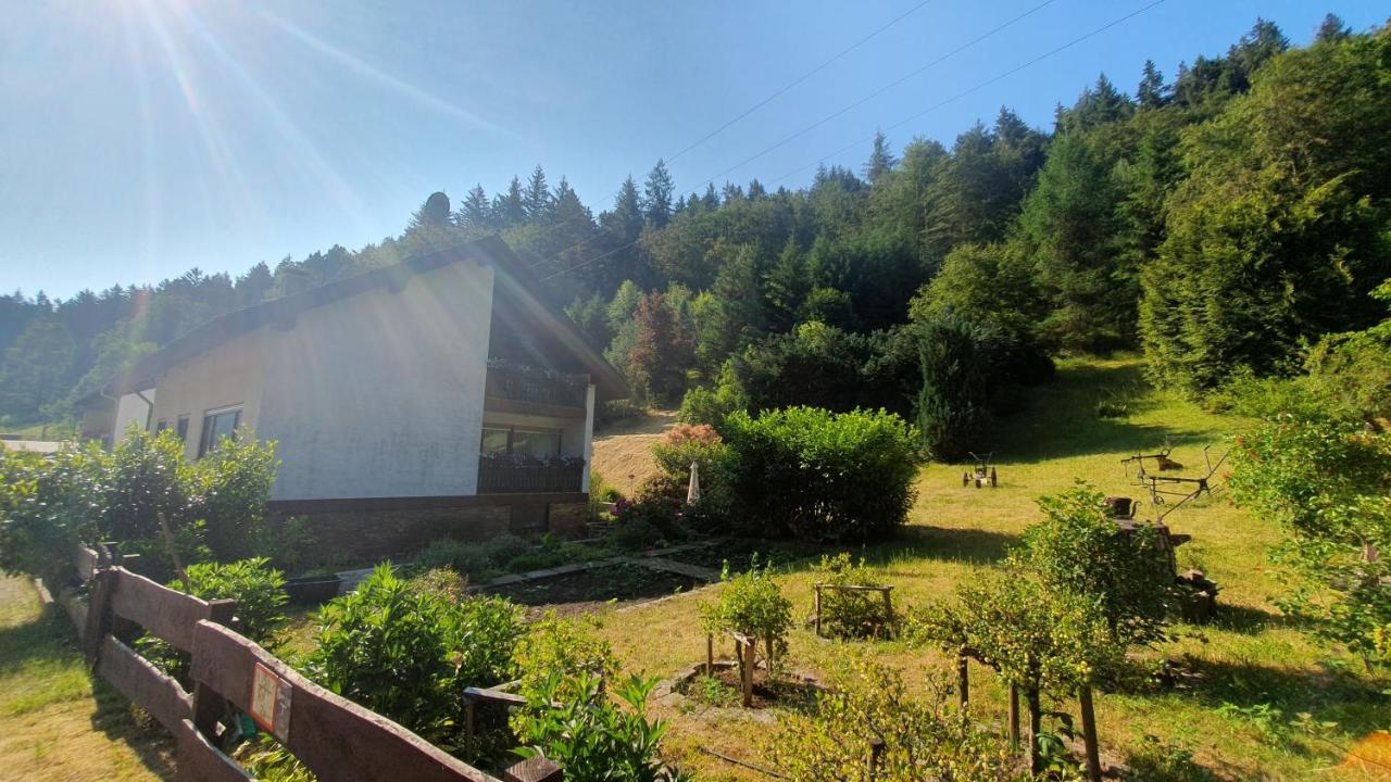 Hotel Pension Ernst Im Herzen Des Pfaelzerwaldes Mit Kueche Elmstein Exteriér fotografie