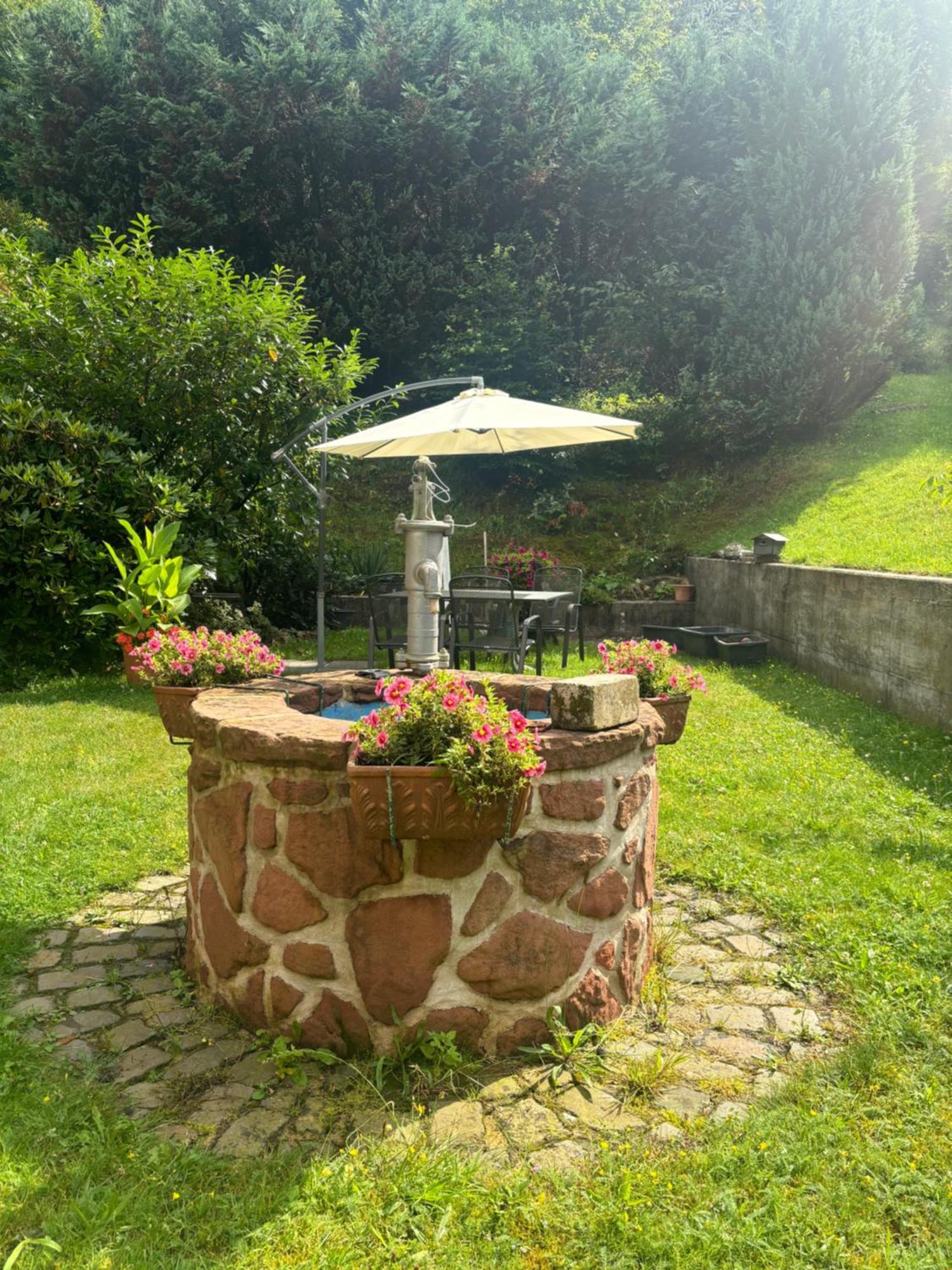 Hotel Pension Ernst Im Herzen Des Pfaelzerwaldes Mit Kueche Elmstein Exteriér fotografie