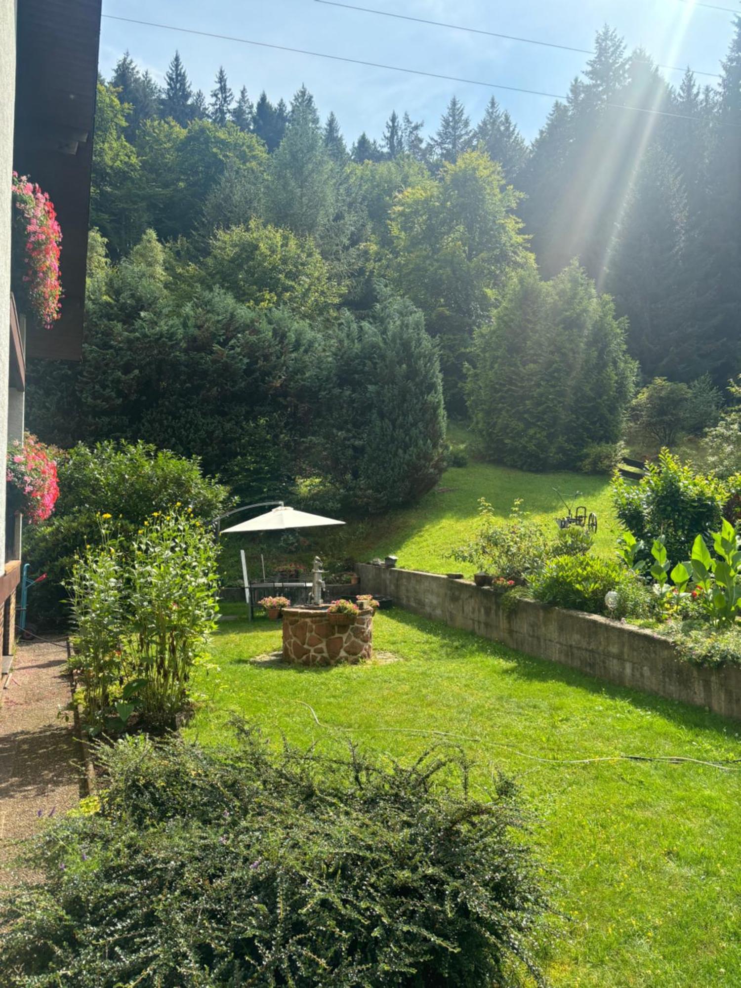 Hotel Pension Ernst Im Herzen Des Pfaelzerwaldes Mit Kueche Elmstein Exteriér fotografie