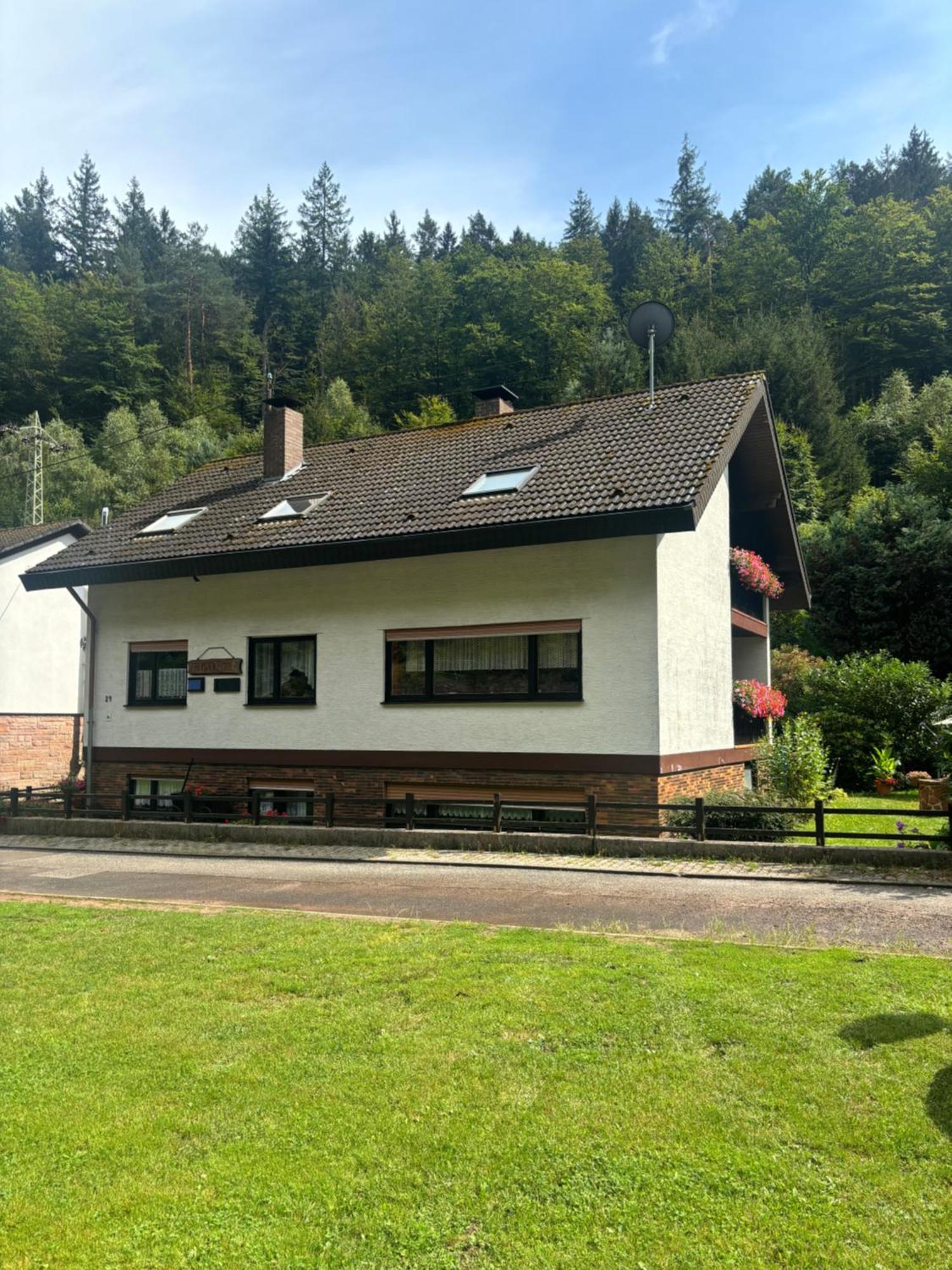 Hotel Pension Ernst Im Herzen Des Pfaelzerwaldes Mit Kueche Elmstein Exteriér fotografie